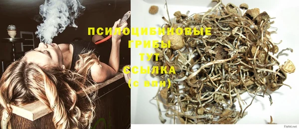 тгк Алзамай