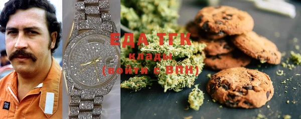 тгк Алзамай