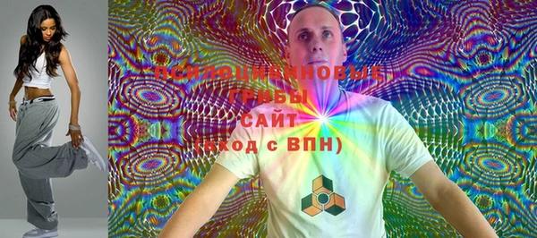 кокс Алексин