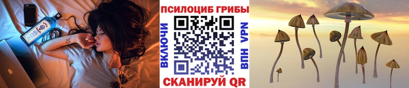 Псилоцибиновые грибы Psilocybine cubensis  Межгорье 